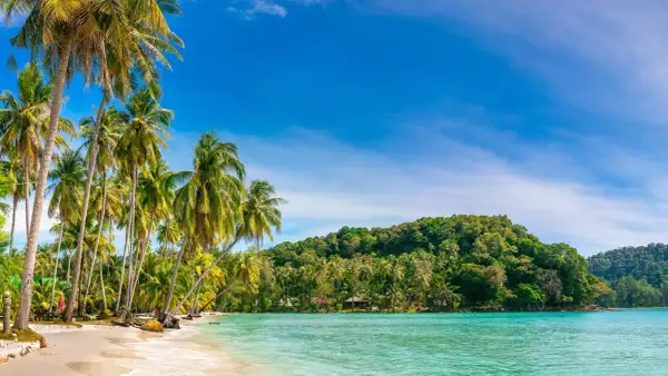 Rajska plaża z palmami i turkusową wodą, idealna na wakacje na Bali w sierpniu.